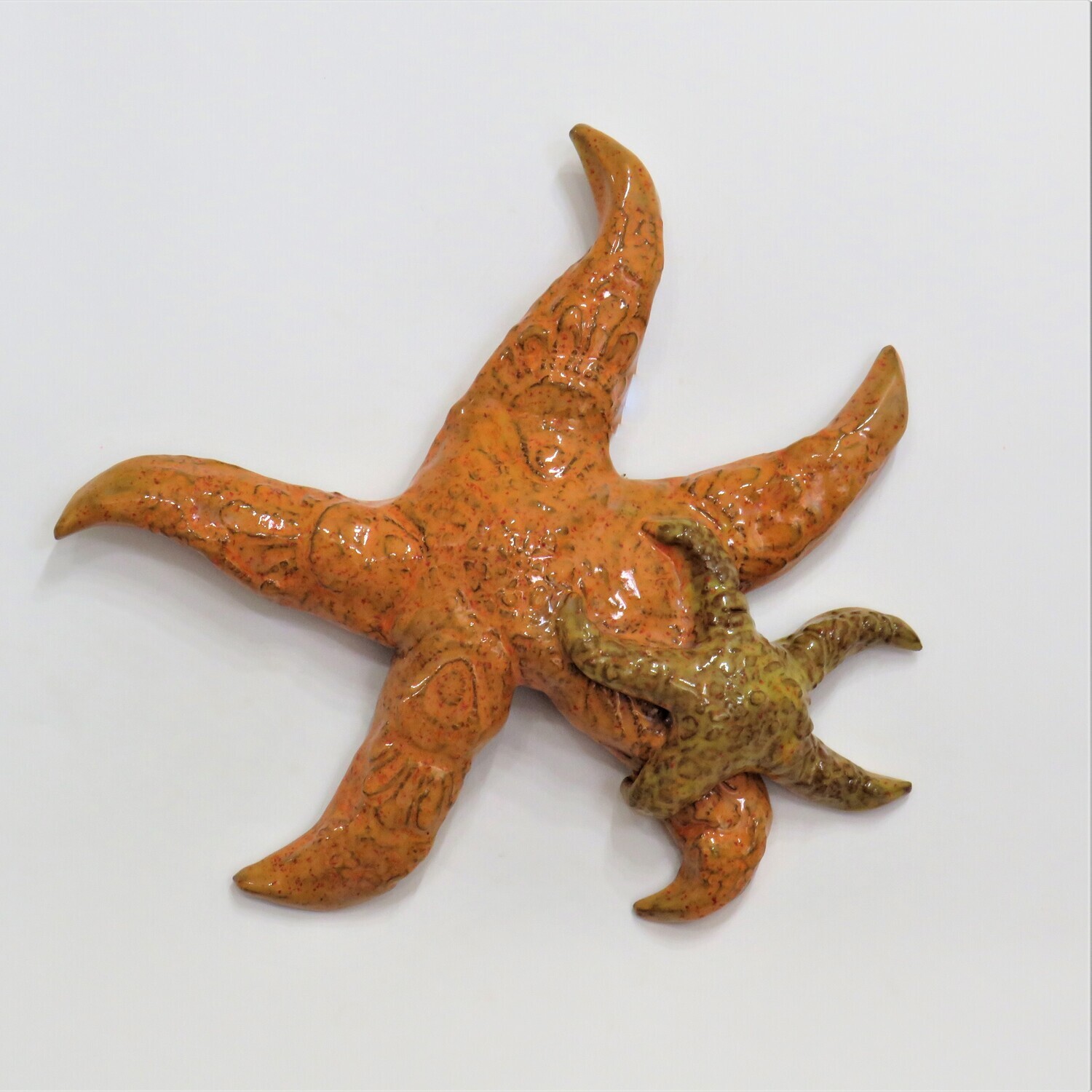 Starfish with Small Starfish