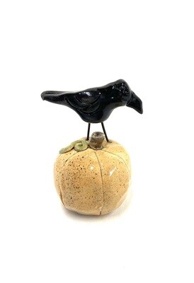 Crow on Pumpkin - Clayton Dickson 