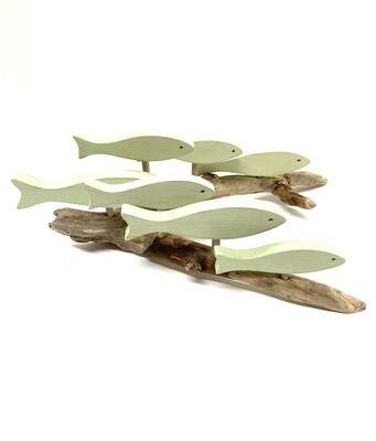 7 Fish School - Jerry Walsh