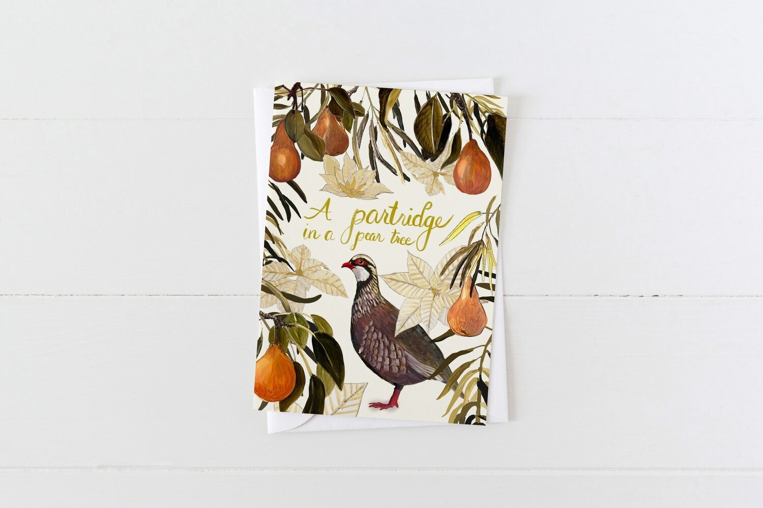 A Partridge in a Pear Tree Card- Briana Corr Scott 