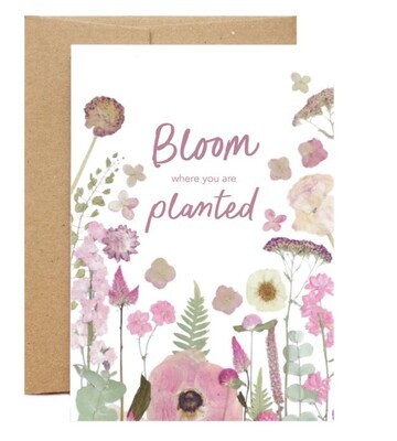 Bloom Where You Are Planted Card- Seek & Bloom 
