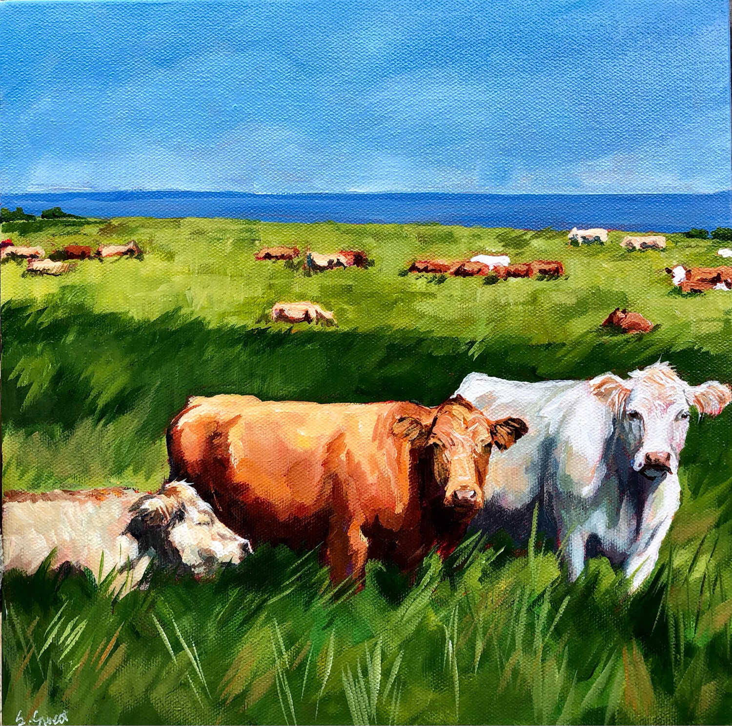 Cows by the Sea 