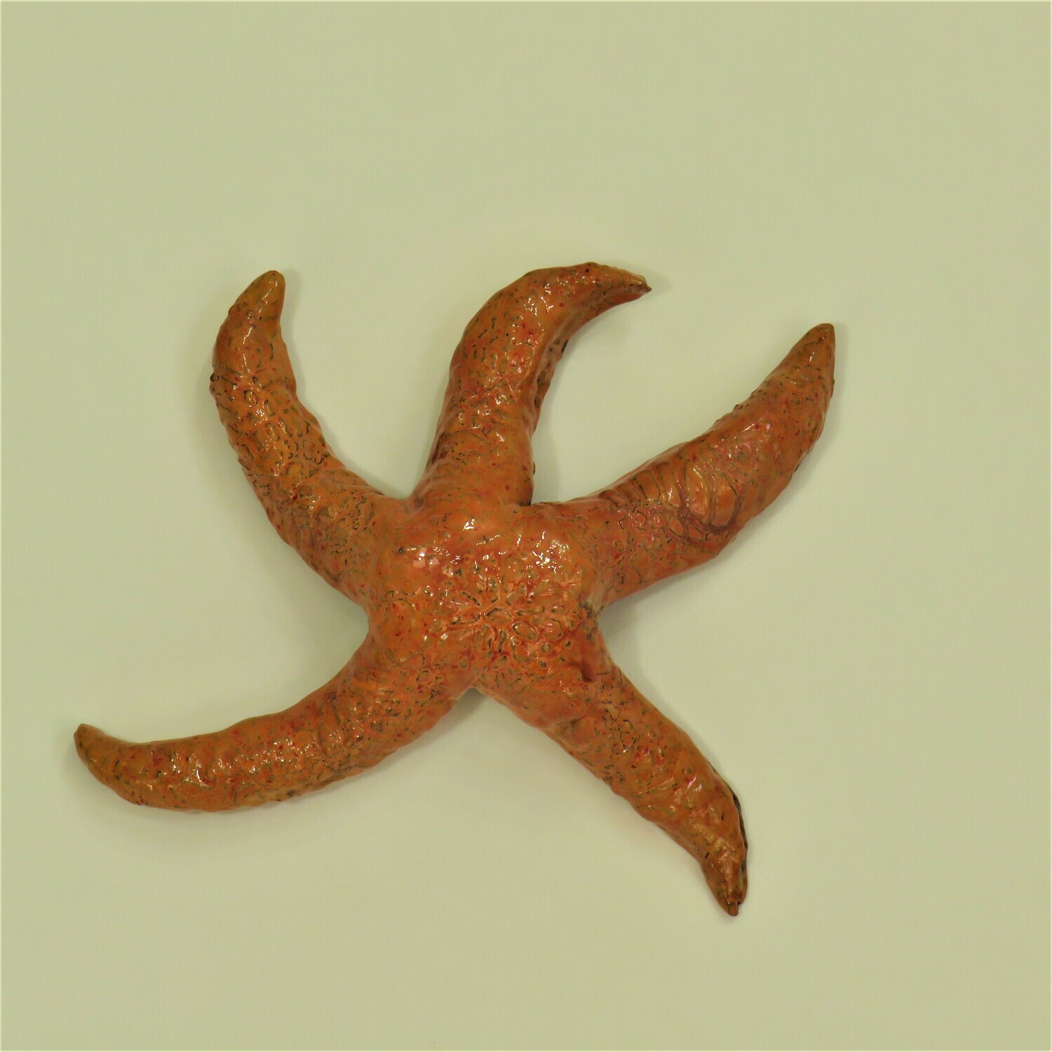Starfish Orange (Hydrostone)
