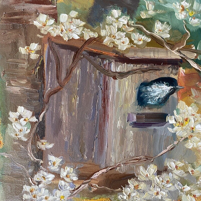 Peek-a Boo, Chickadee in Birdhouse