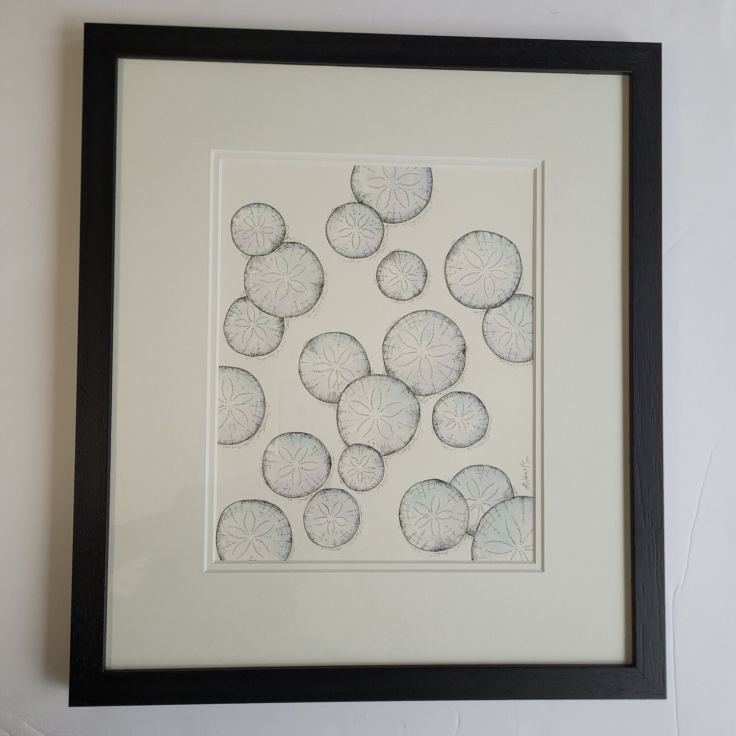 Watercolour Sand Dollar Collection