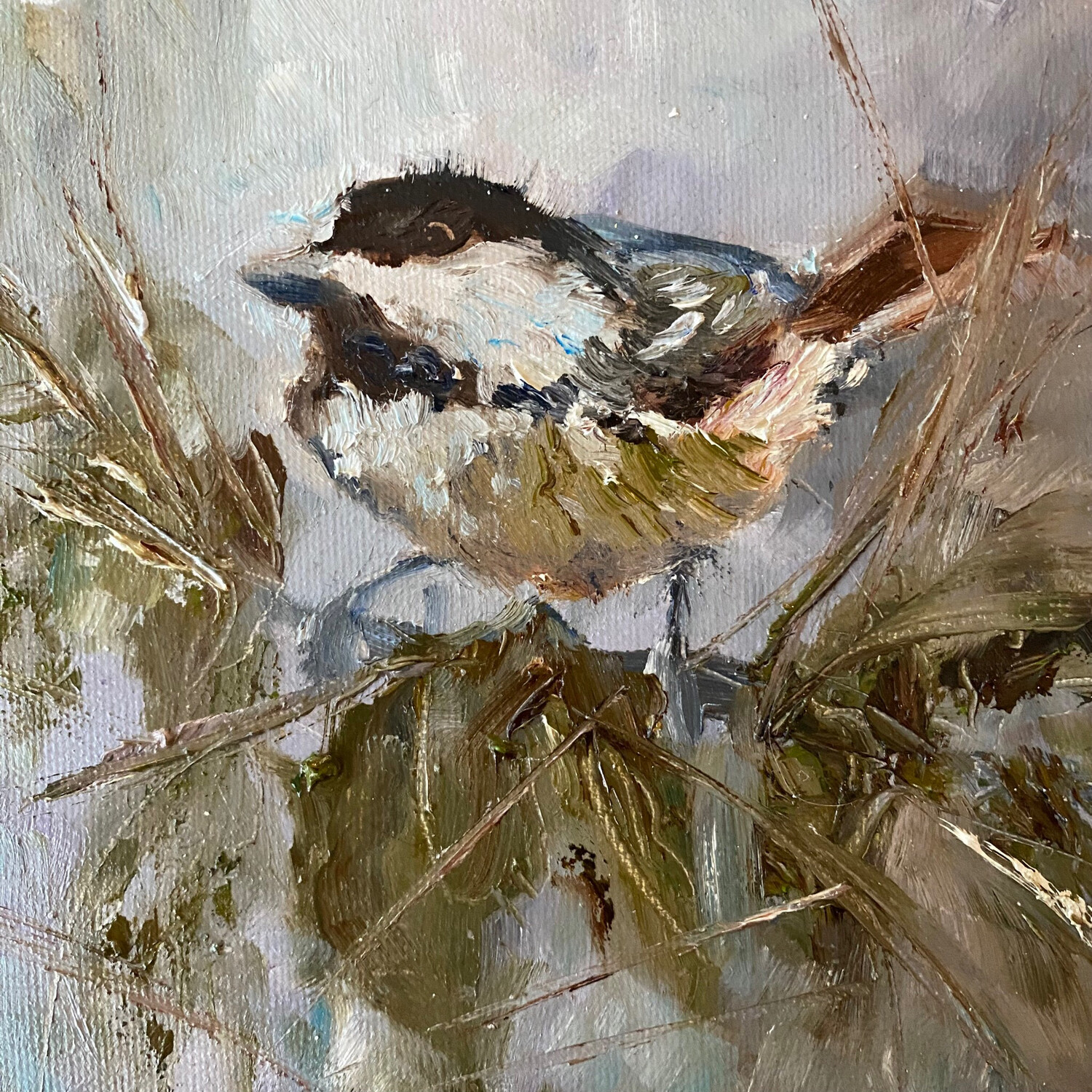 In the Thicket of Things, Chickadee 