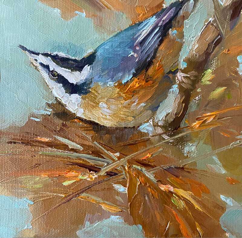 Show Off, Nuthatch