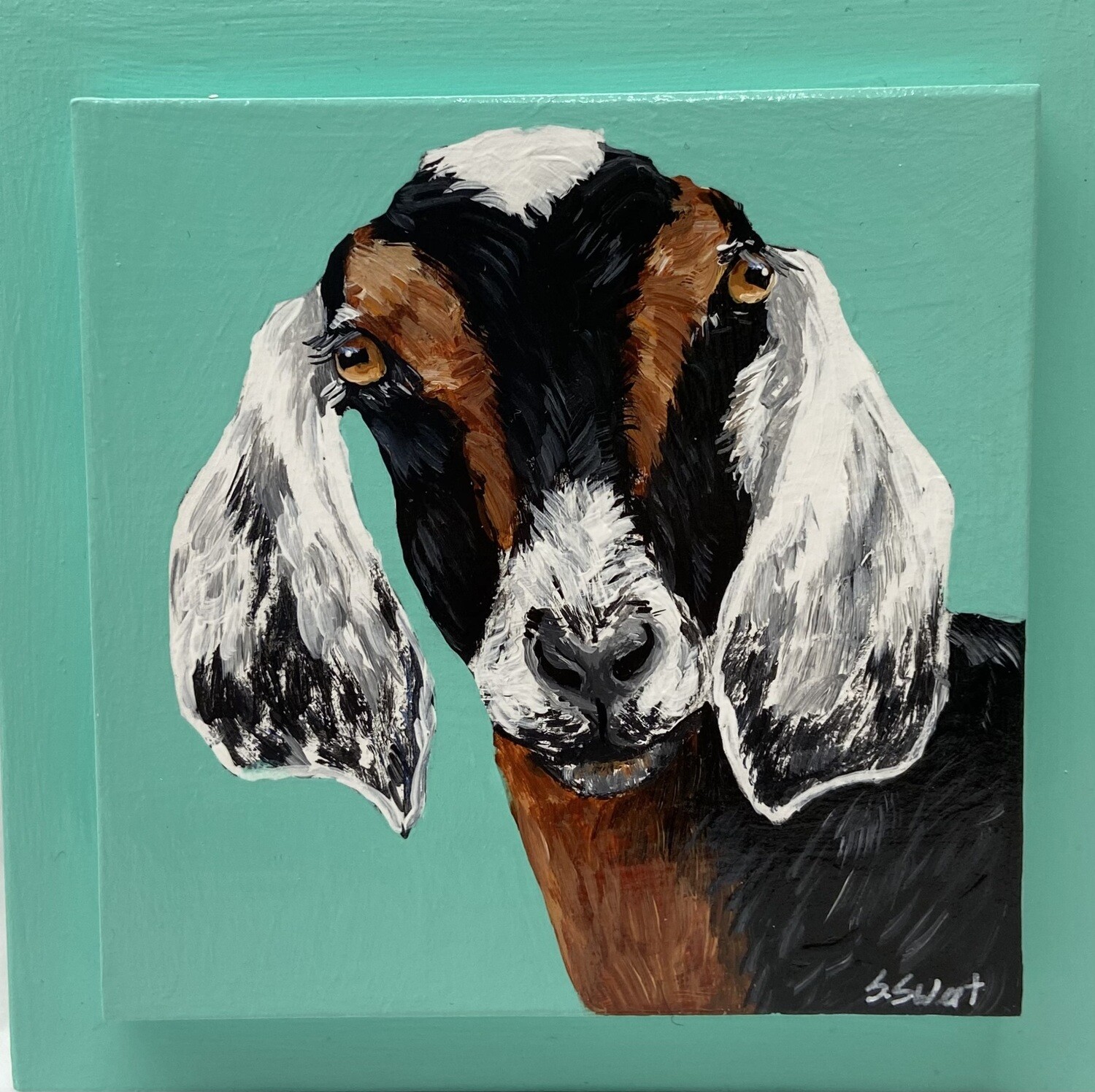 Malcolm the Goat in Turquoise