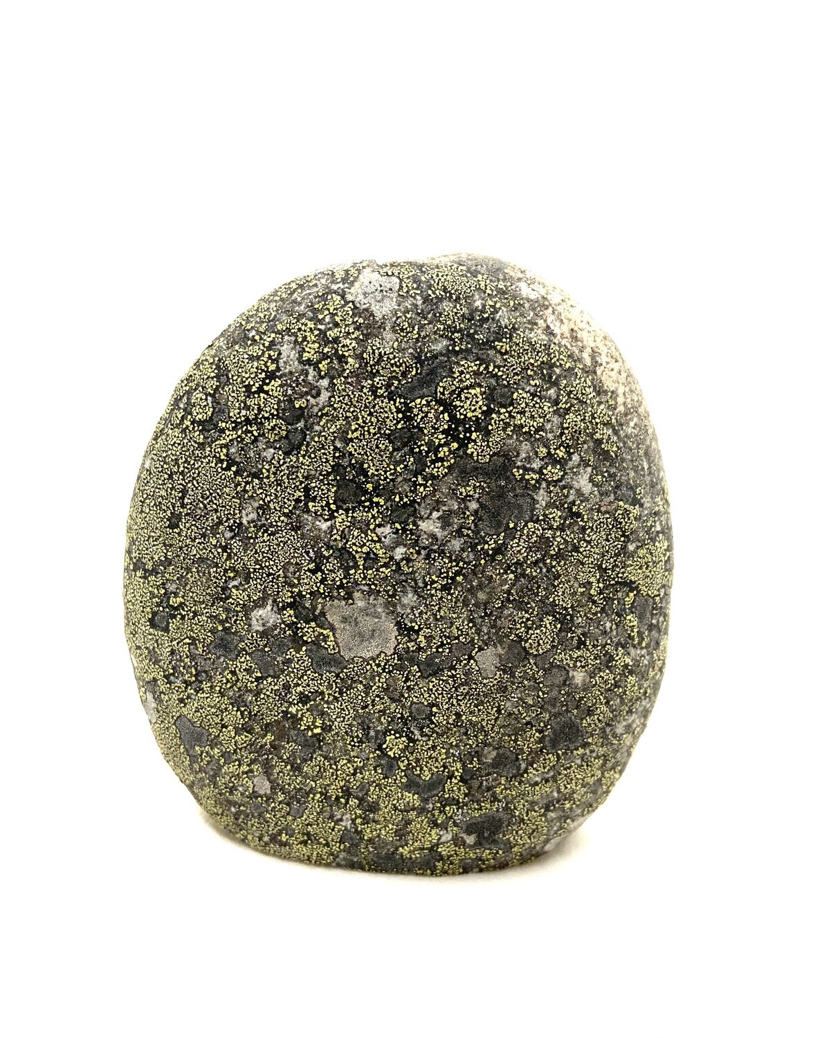 Stone Lichen 3/4 Vase - Cornerstone