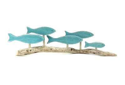 Teal 5 Fish School- Jerry Walsh 