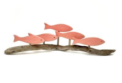 Coral 5 Fish School- Jerry Walsh 