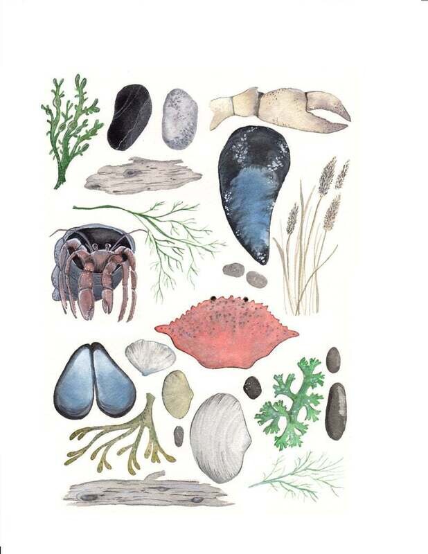 Ode to Ocean Card- Sarah Duggan