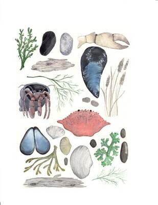 Ode to Ocean Card- Sarah Duggan