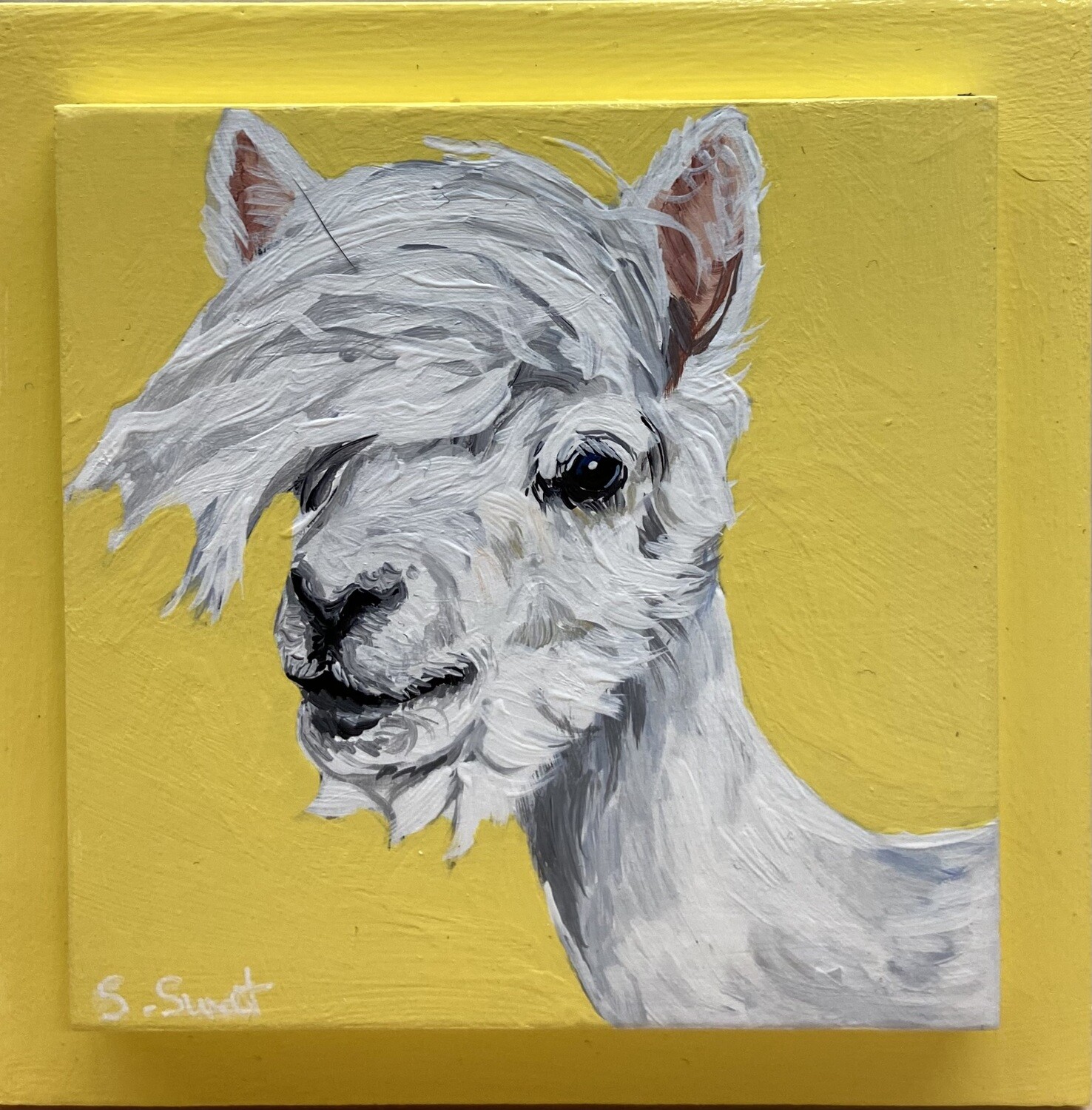 Malcom the Alpaca on Yellow