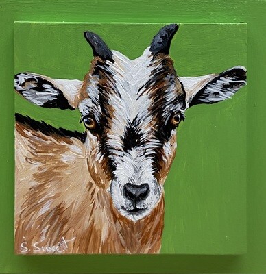 Arwen the Goat on Bright Green