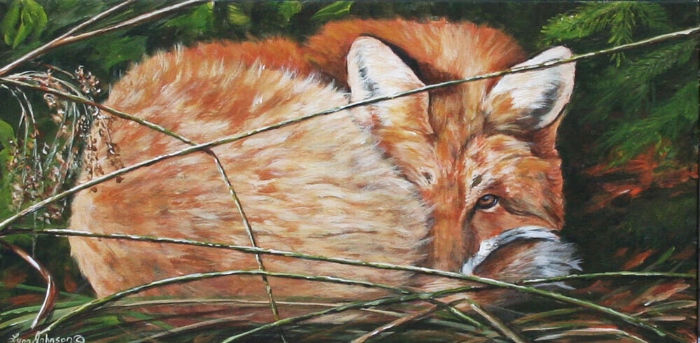 Mindful (Red Fox)
