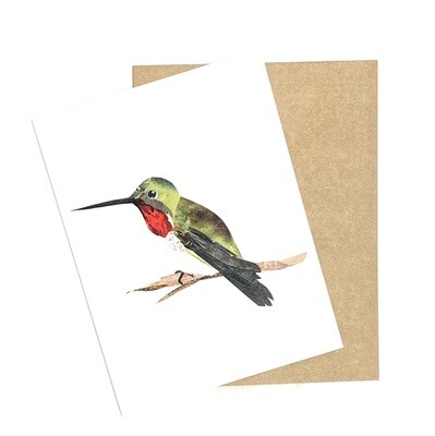 Hummingbird Collage Card