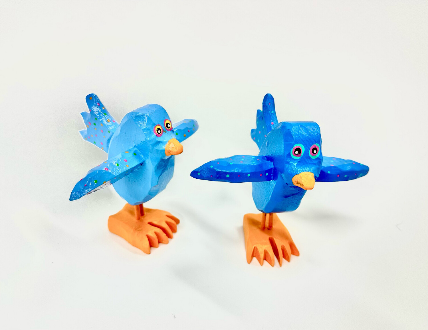 Blue Chick Timberdoodle