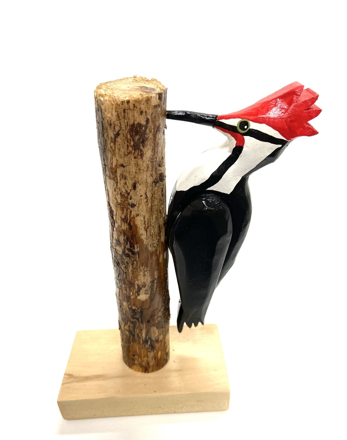 Pileated Woodpecker Timberdoodle