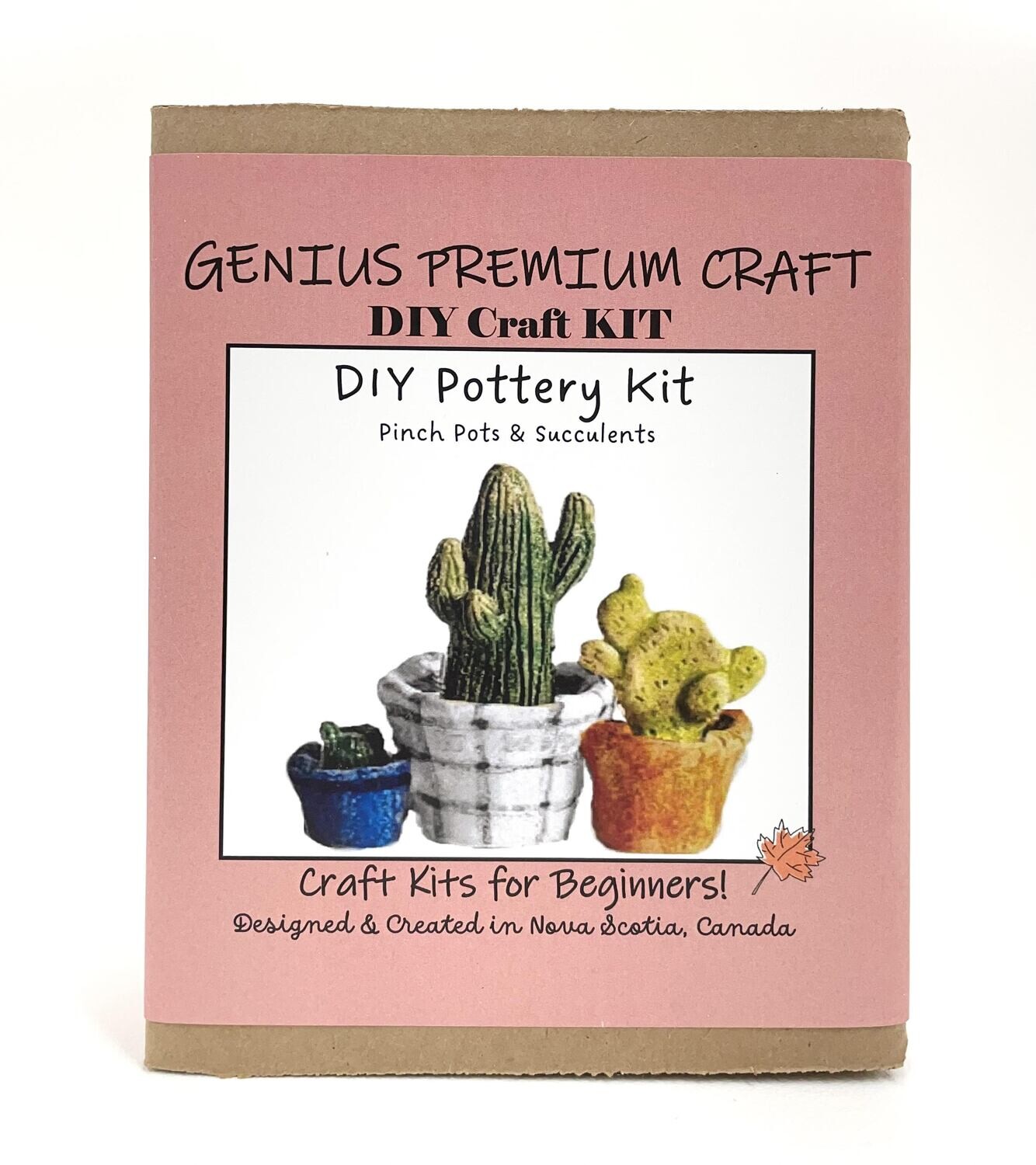 DIY Pottery Kit - Cacti and Pots - Genius Premium Craft
