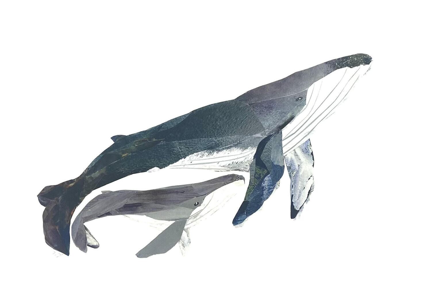 Humpback Whale and Calf Collage Print 