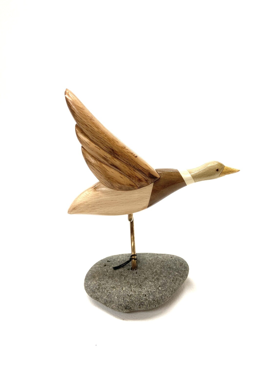 Arbour Mallard Duck Arbour Mallard Duck