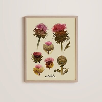 Artichoke Print- Briana Corr Scott