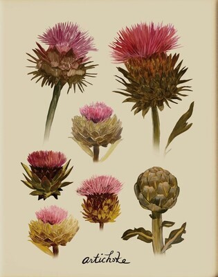 Artichoke Print- Briana Corr Scott