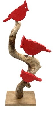 Triple Cardinal- Jerry Walsh