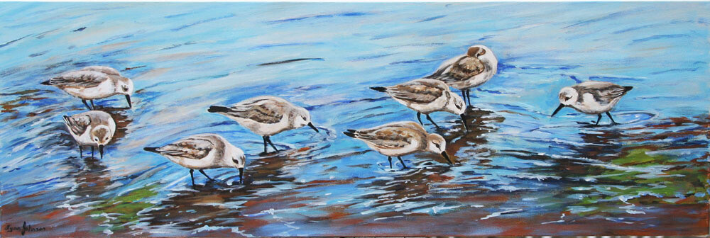 Beach Sweep (Sanderlings) 