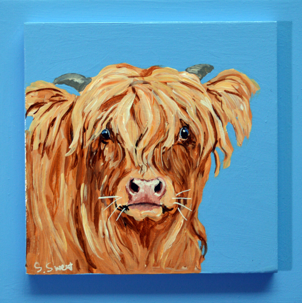 Clement the Highland on Provence Blue Clement the Highland on Provence Blue