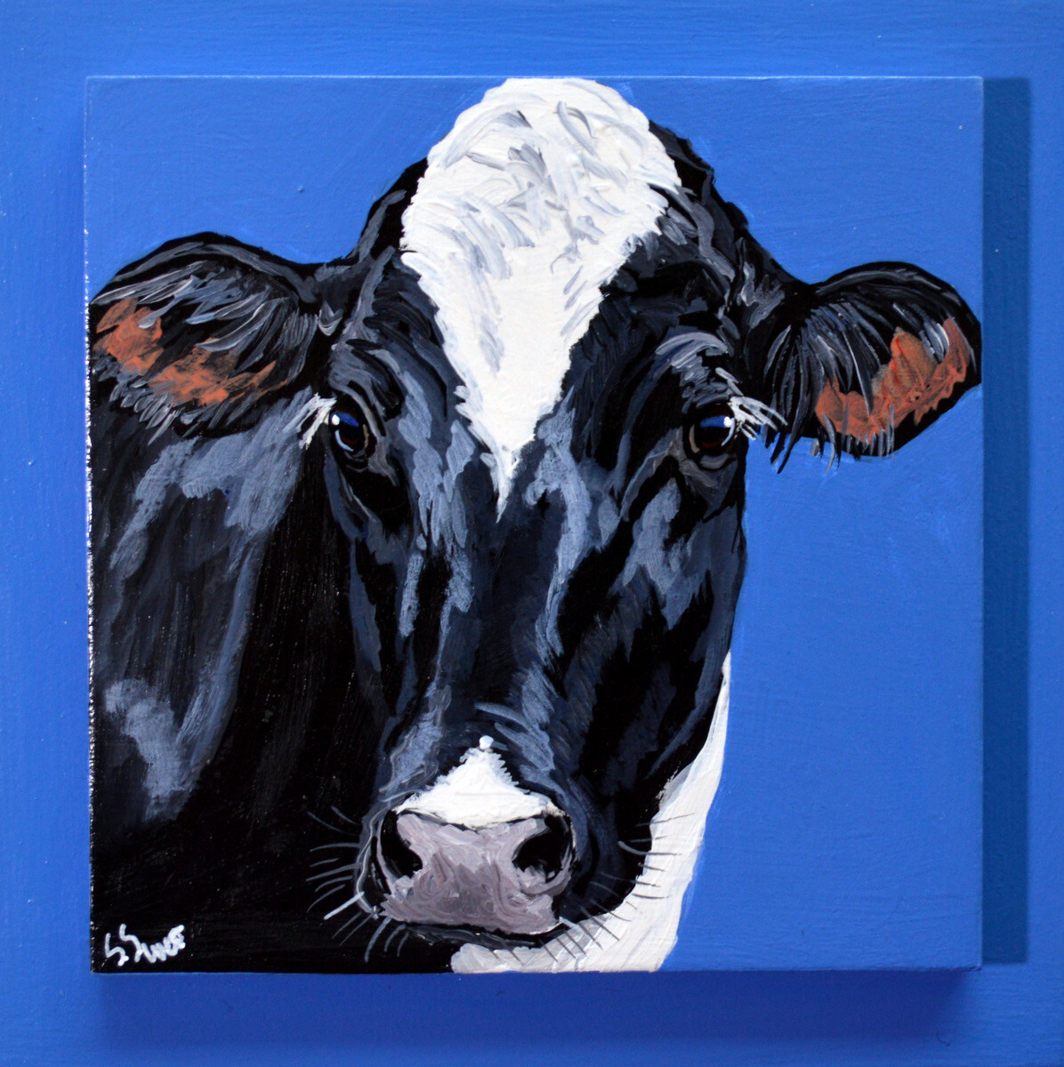 Tabitha the Holstein on Bright Blue 