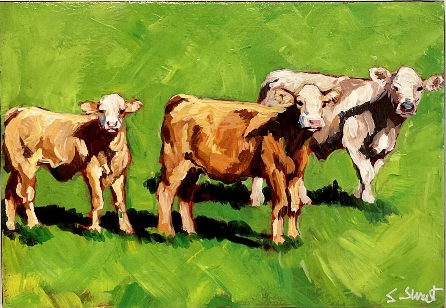 Calves in the Sun