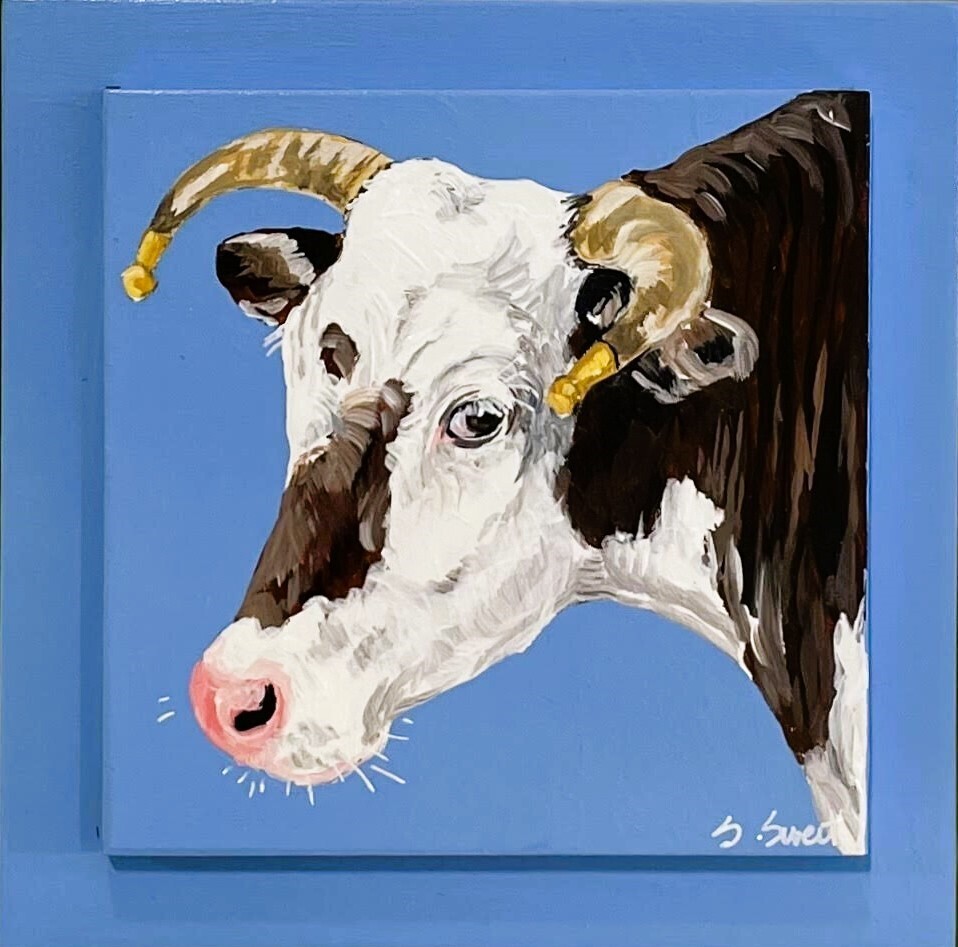 Carlton the Ox on Provence Blue