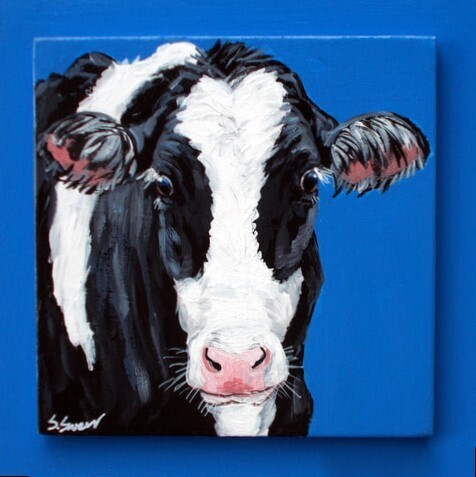 Havana the Holstein Cow on Bright Blue