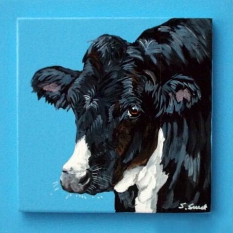 Melrose the Holstein Cow on Provence Blue 