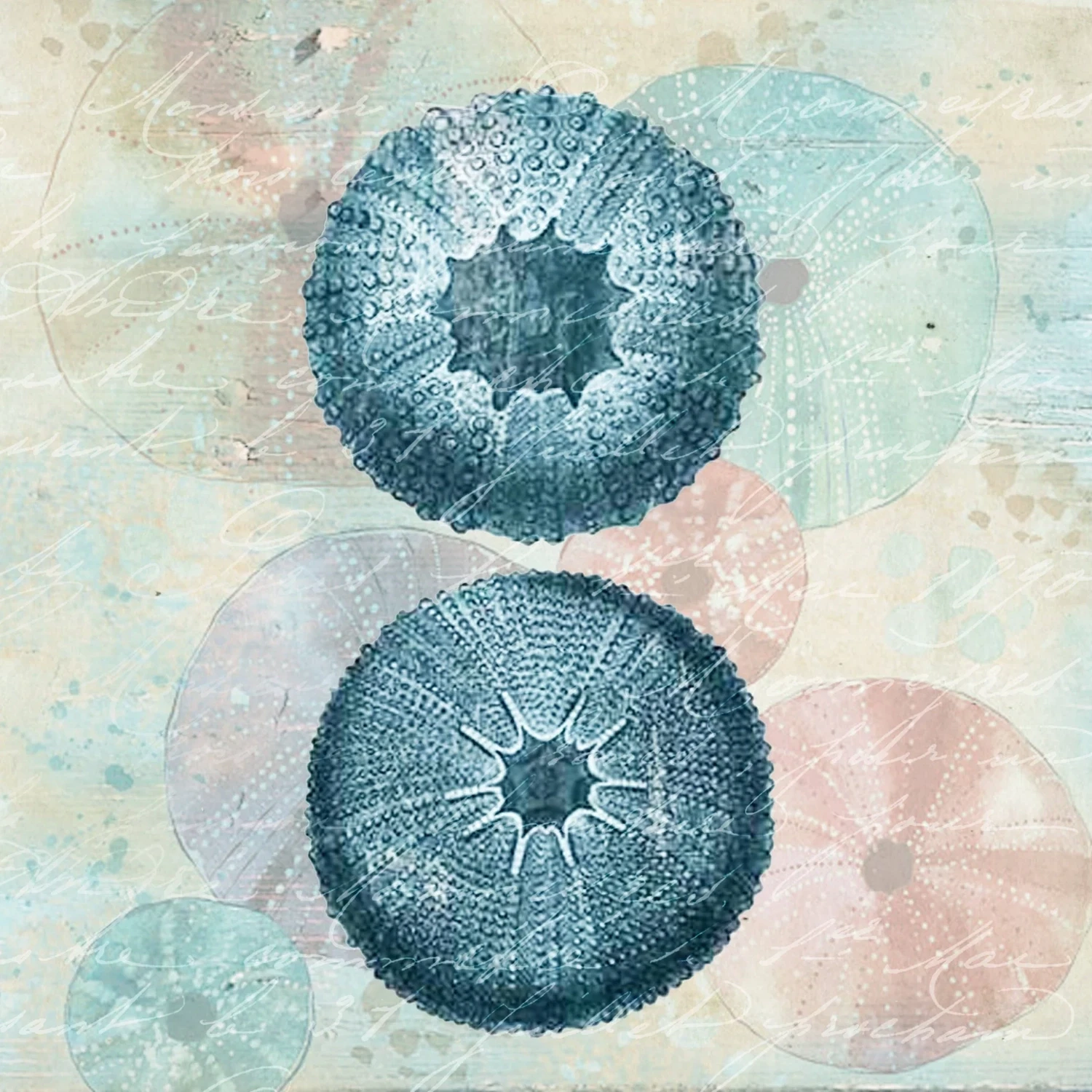 Sea Urchins Marble Coaster