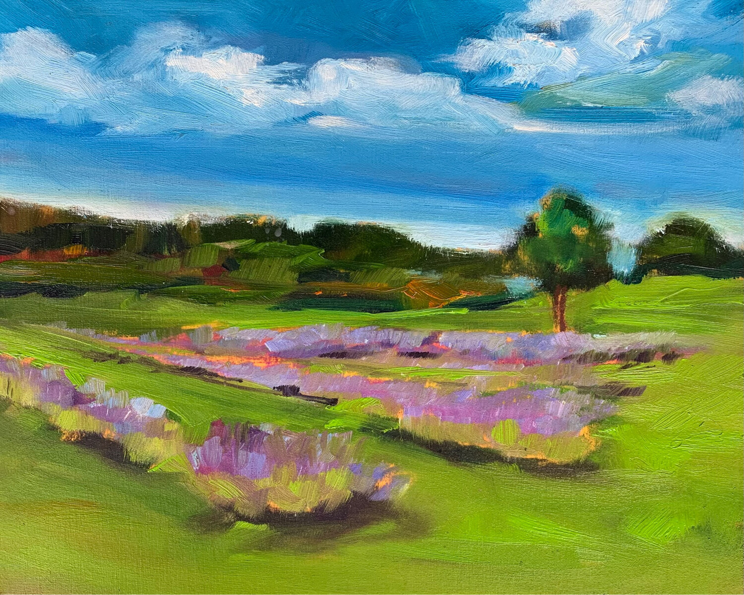 I Dream of Lavender Fields