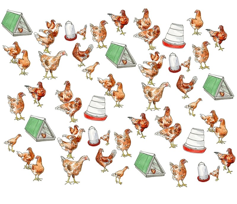 Pleasant Hill Chickens Print- Kat Frick Miller