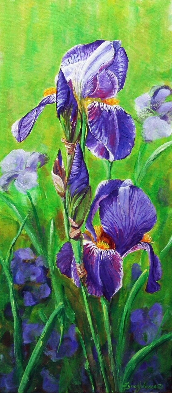 Bold and Beautiful