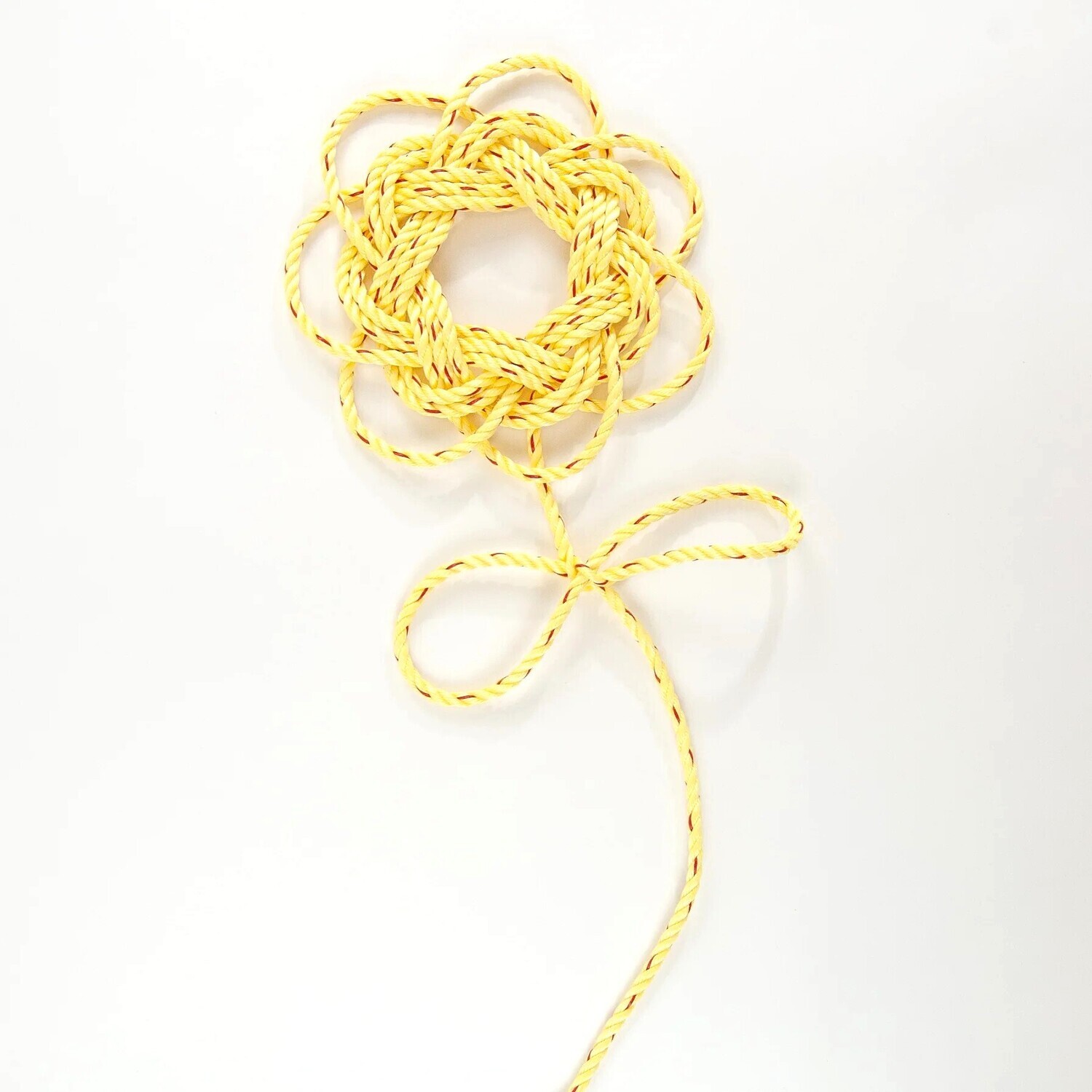  Large Yellow Lobster Rope Beach Blossom
