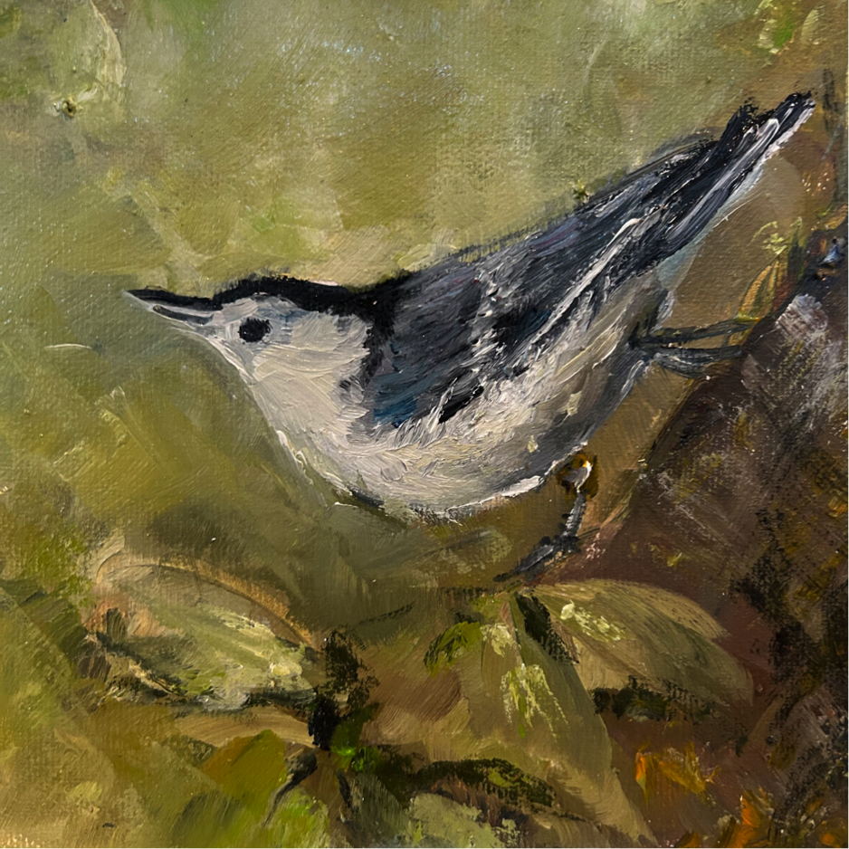 Look to the Sky, Nuthatch