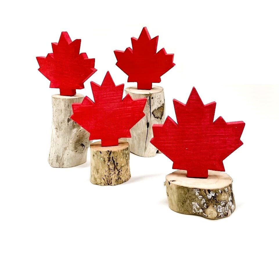 Maple Leaf on Driftwood- Jerry Walsh