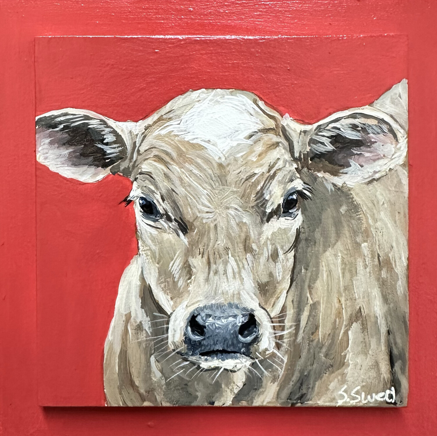 Brent the Calf on Red