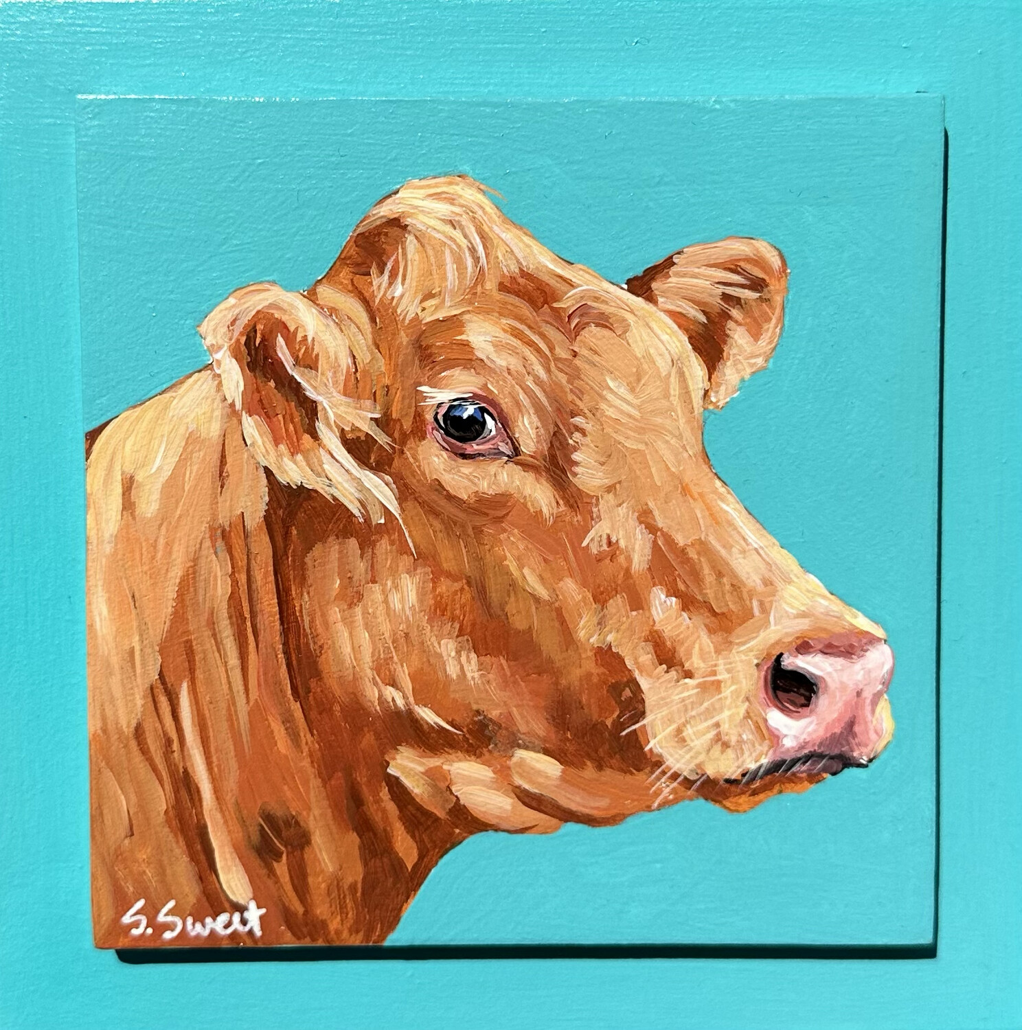 Annie O the Cow on Teal