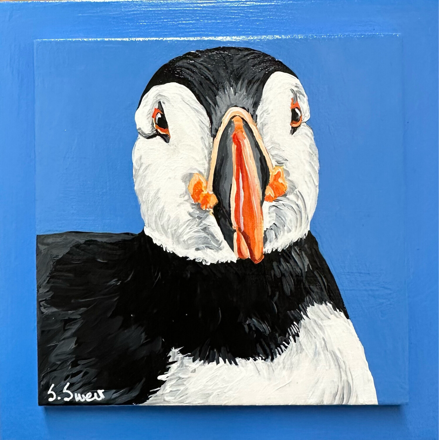 Victor the Puffin on Bright Blue