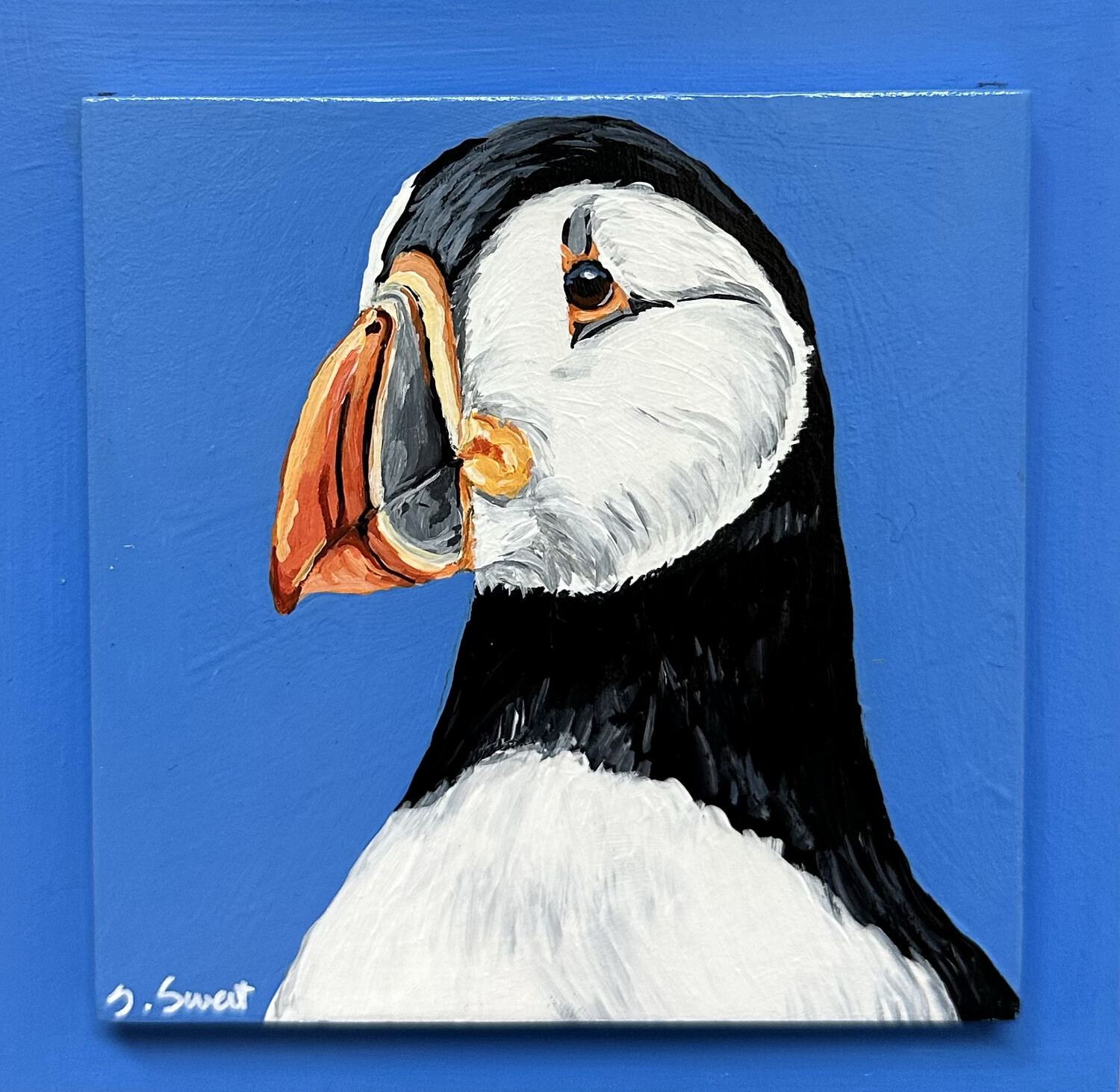 Benny the Puffin on Bright Blue 
