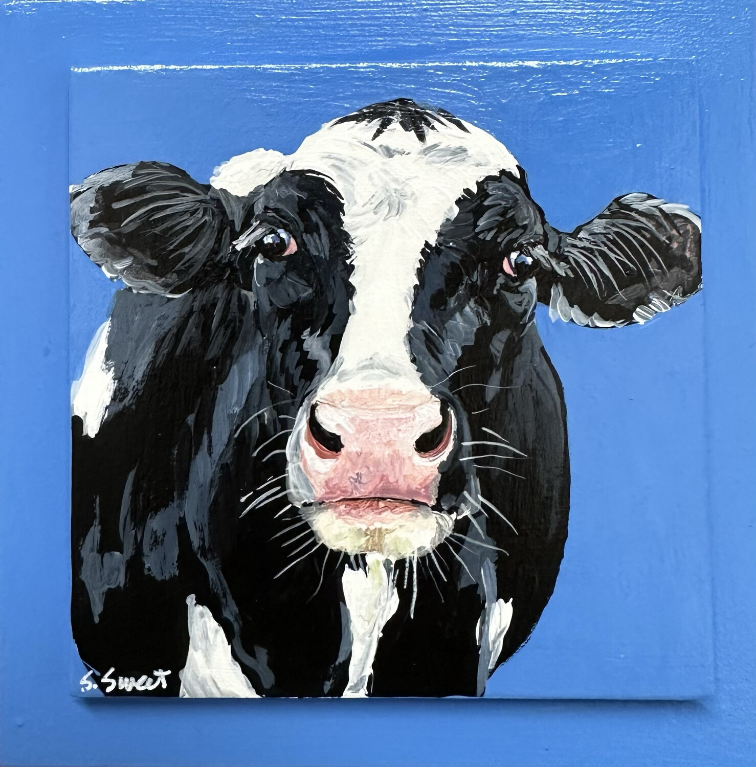 Annie the Holstein Cow on Bright Blue 