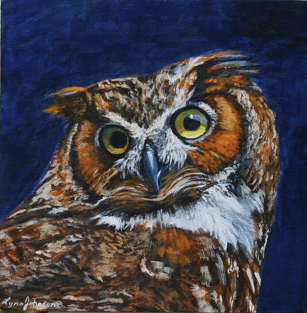 Night Owl (Great Horned Owl) 