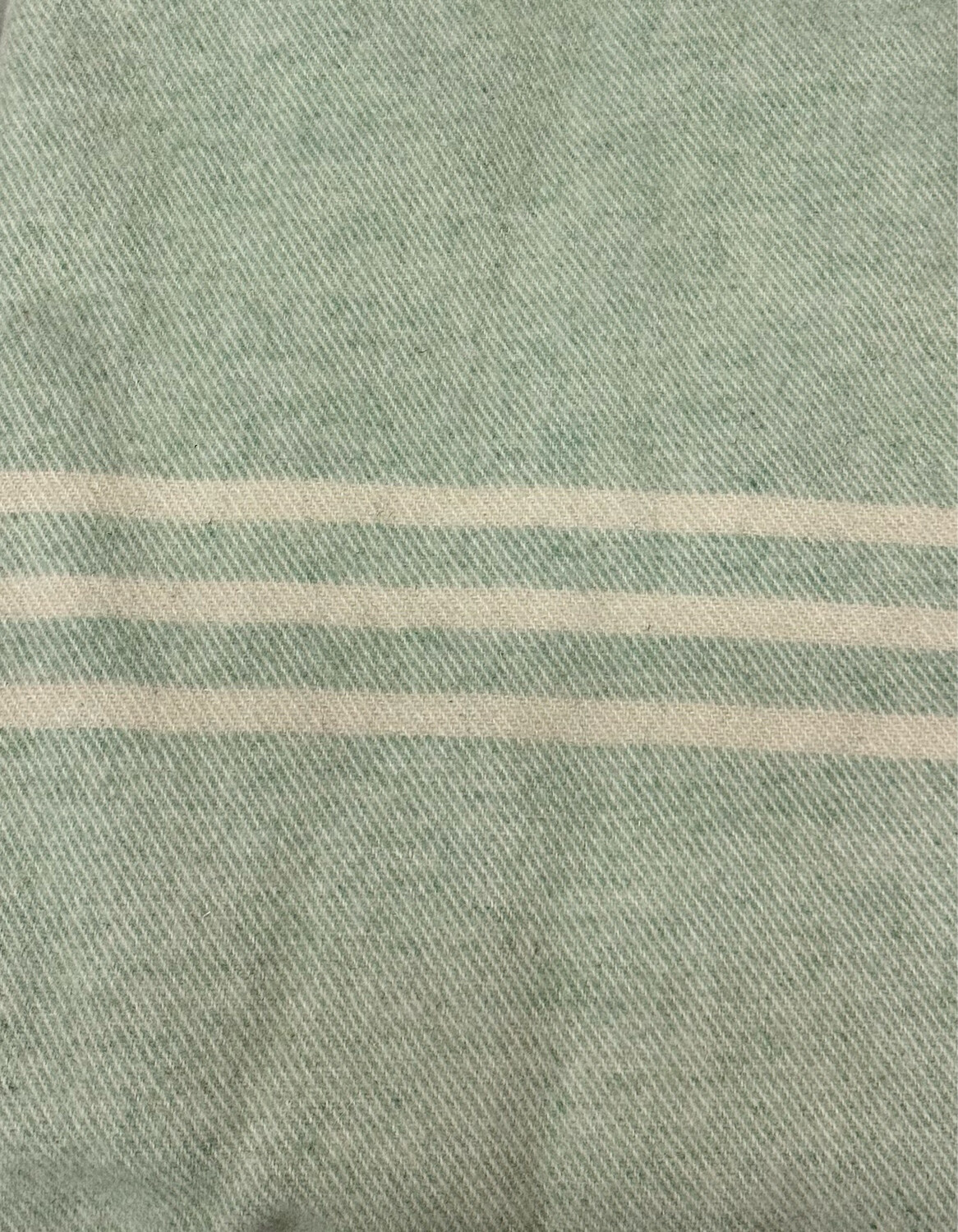 Mint Green with Stripe MacAusland Throw Blanket 